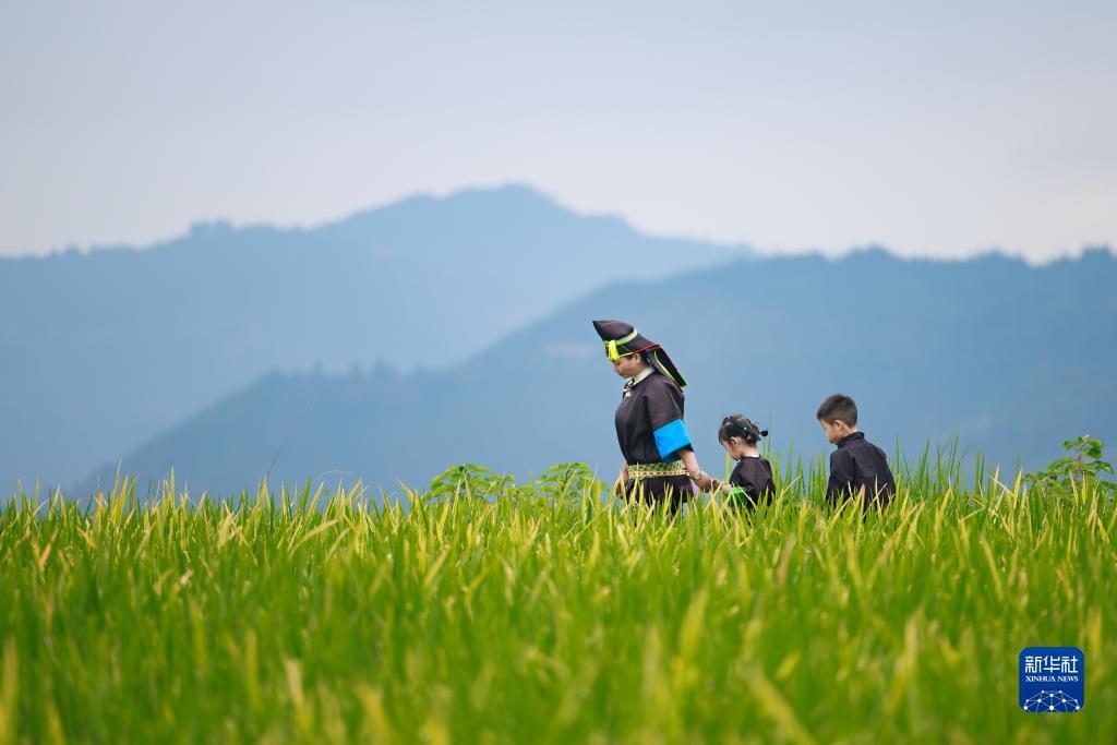 790游戏上下分平台
